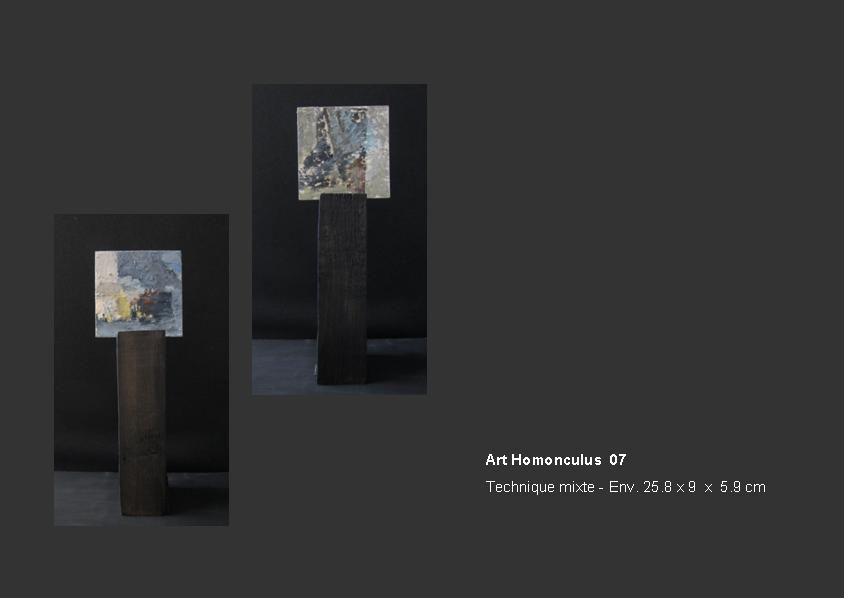 Collection Art Homonculus