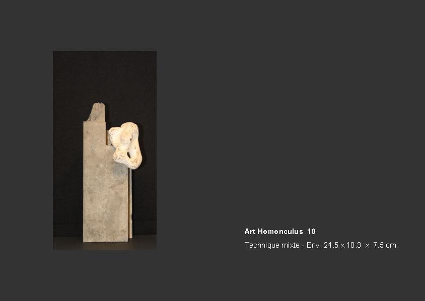 Collection Art Homonculus